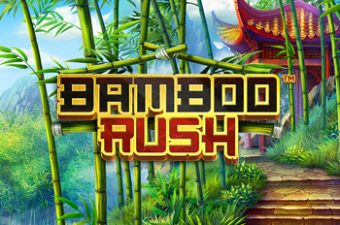 Bamboo Rush