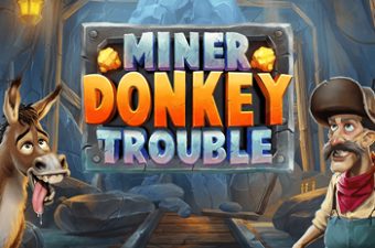 Miner Donkey Trouble